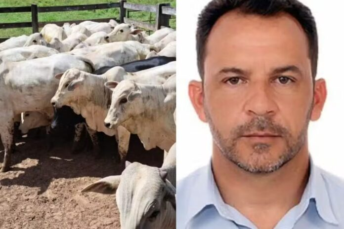 Vereador paga fiança e é liberado após operação contra gado 