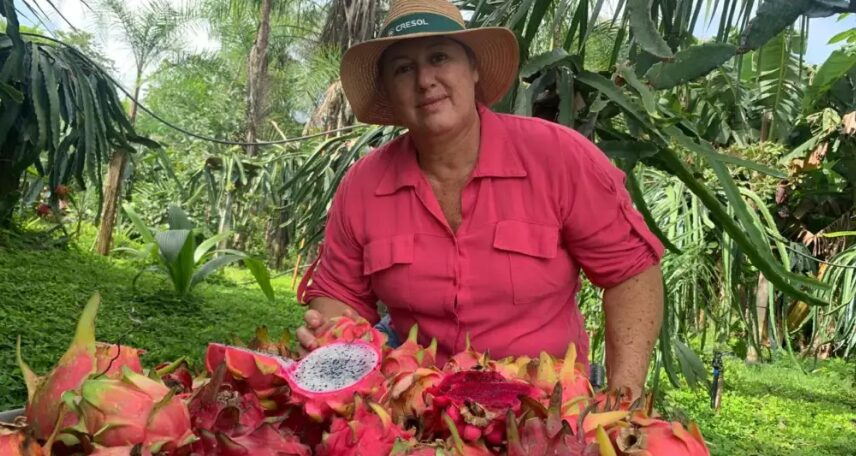 Mulheres lideram inovação no agro e transformam produção rural em Sorriso